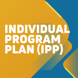 Share Your Voice: IPP Survey